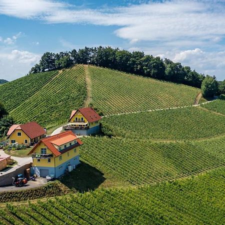 Weingut-Gaestehaus Birnstingl ガムリッツ エクステリア 写真