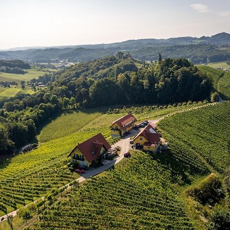Weingut-Gaestehaus Birnstingl ガムリッツ エクステリア 写真
