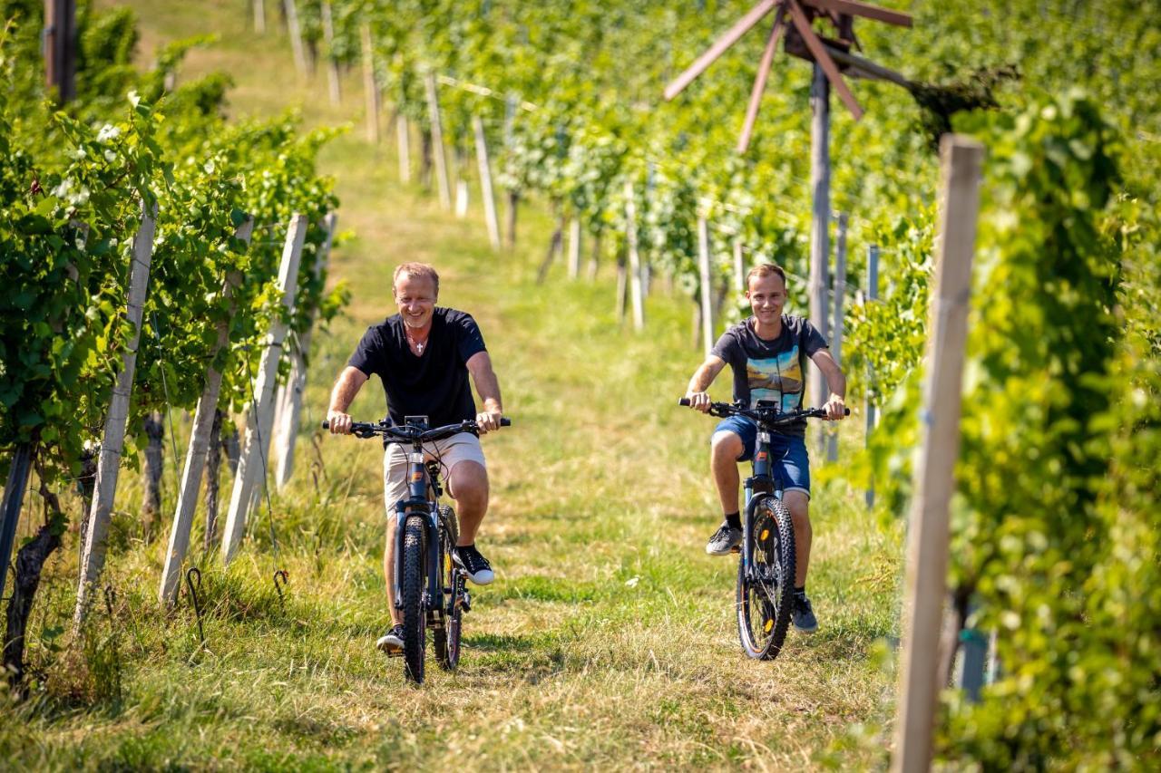 Weingut-Gaestehaus Birnstingl ガムリッツ エクステリア 写真