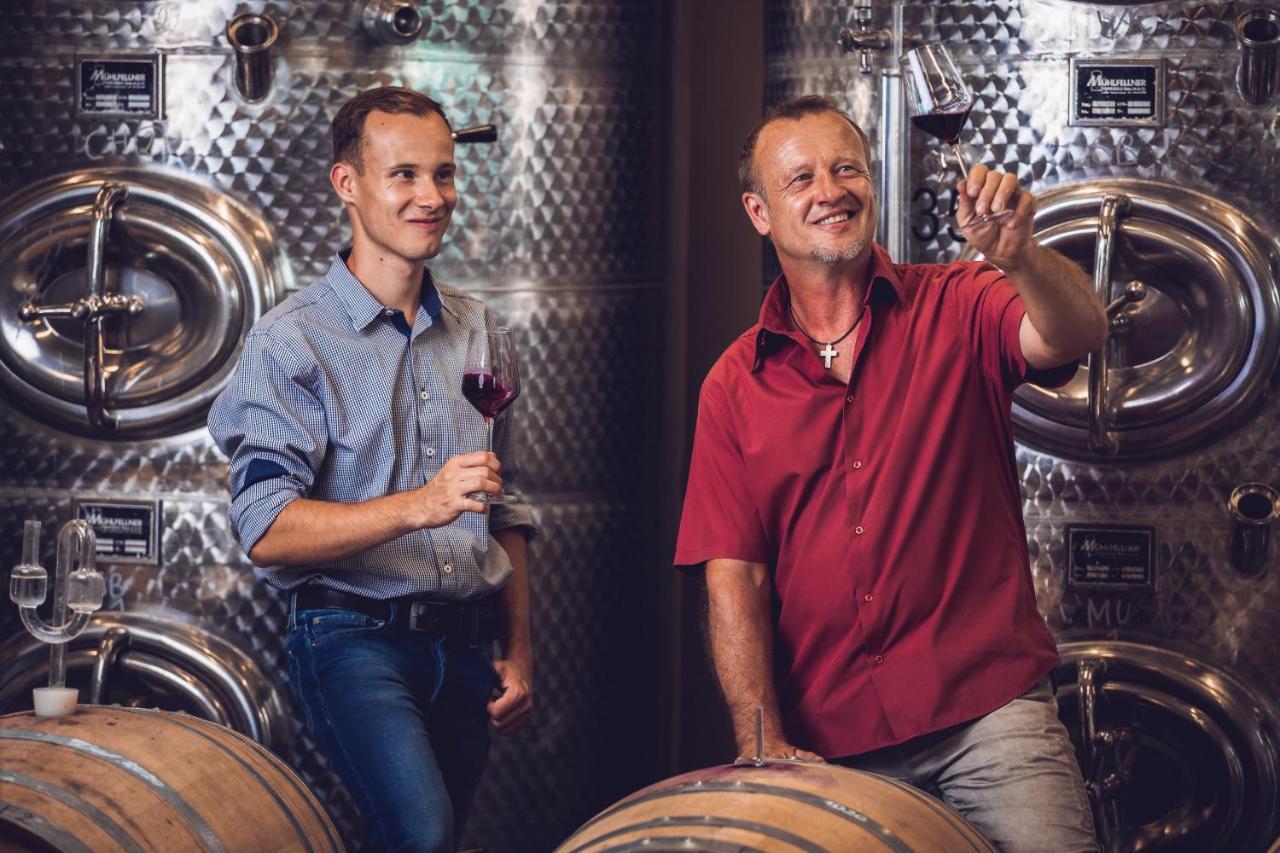 Weingut-Gaestehaus Birnstingl ガムリッツ エクステリア 写真