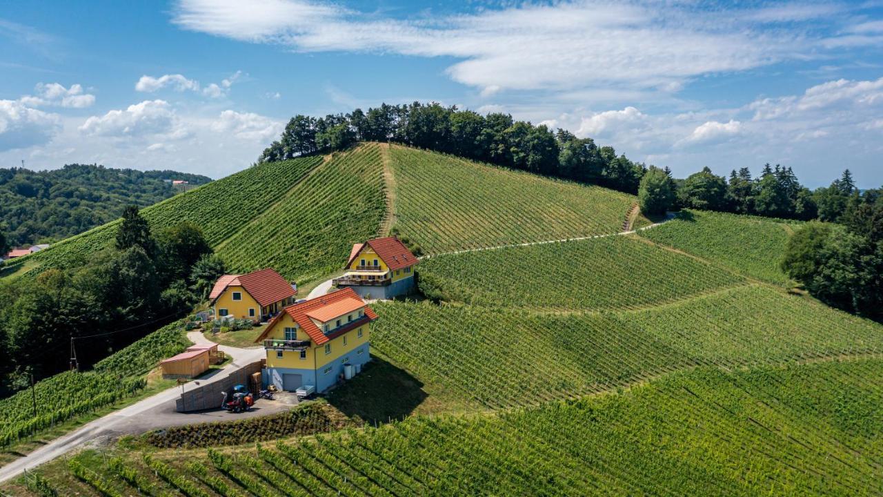 Weingut-Gaestehaus Birnstingl ガムリッツ エクステリア 写真