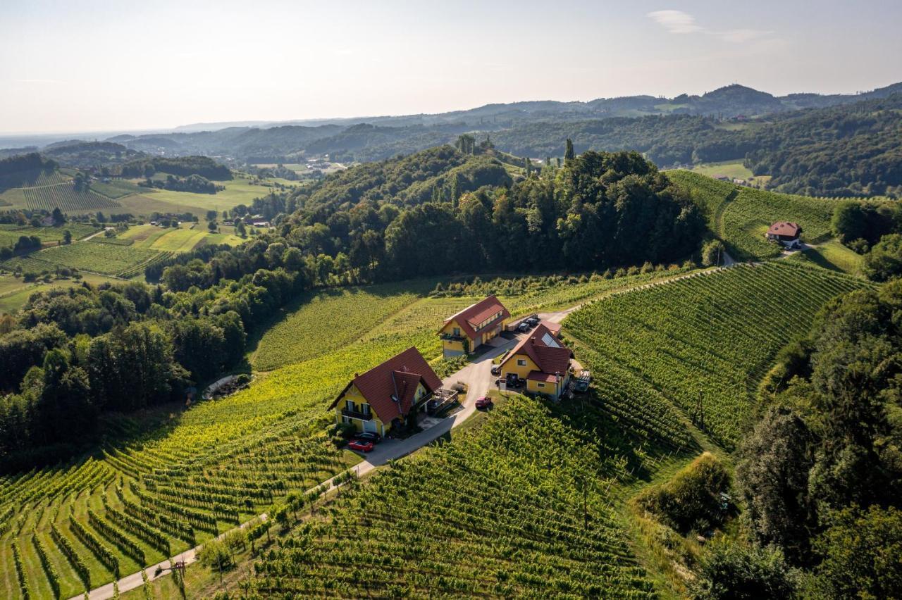 Weingut-Gaestehaus Birnstingl ガムリッツ エクステリア 写真