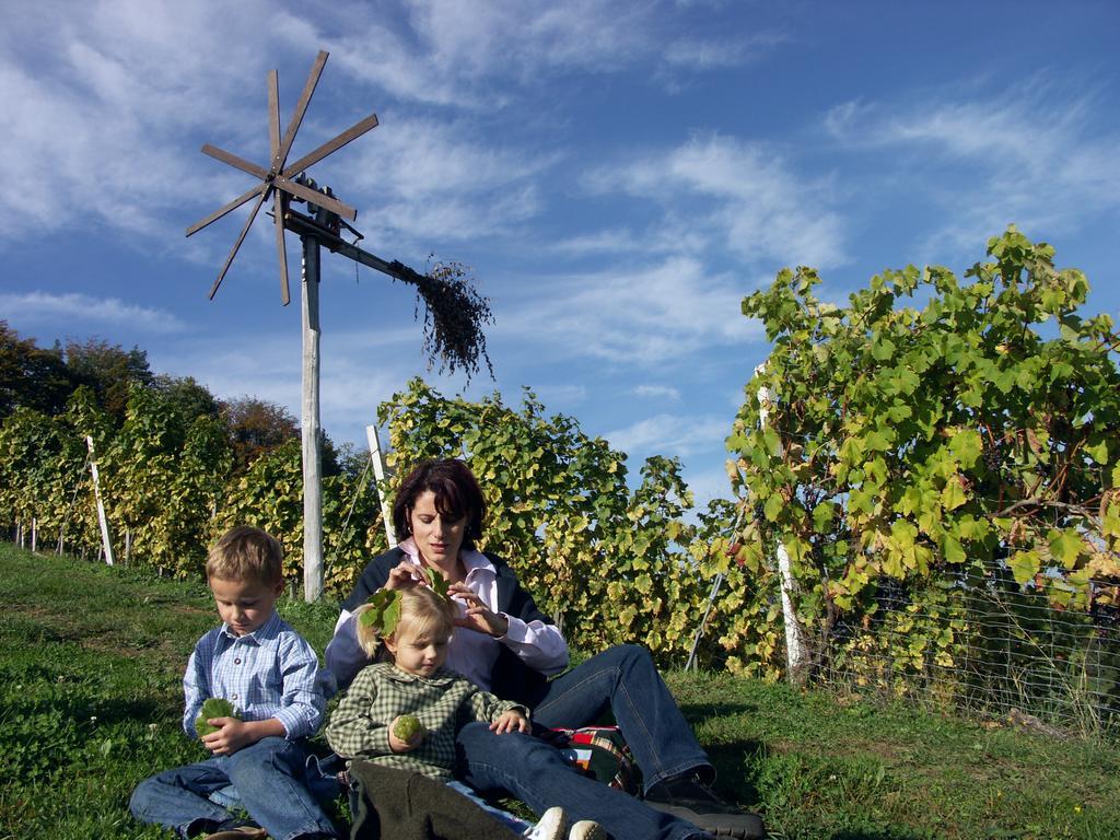 Weingut-Gaestehaus Birnstingl ガムリッツ エクステリア 写真